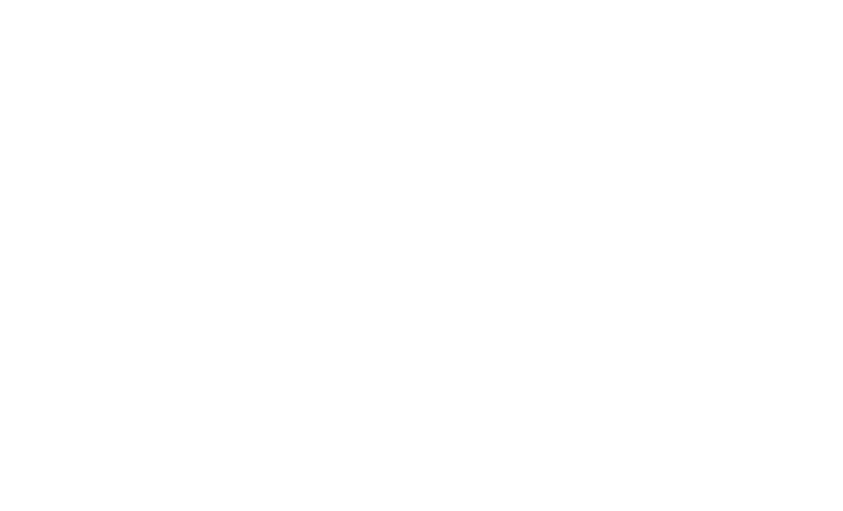 partner-holy
