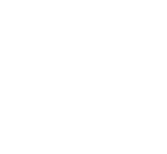 partner-spezi